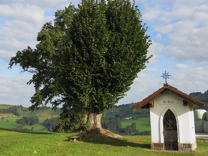 20190919_090028_Mariazell_AJ.JPG -                                