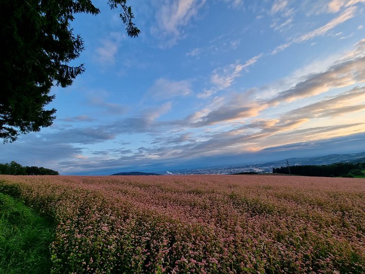 20210915_173630_04_Landschaft_GV.jpg