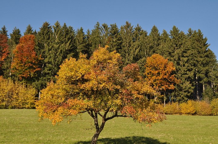 20211028_143055_Herbst_LP.jpg