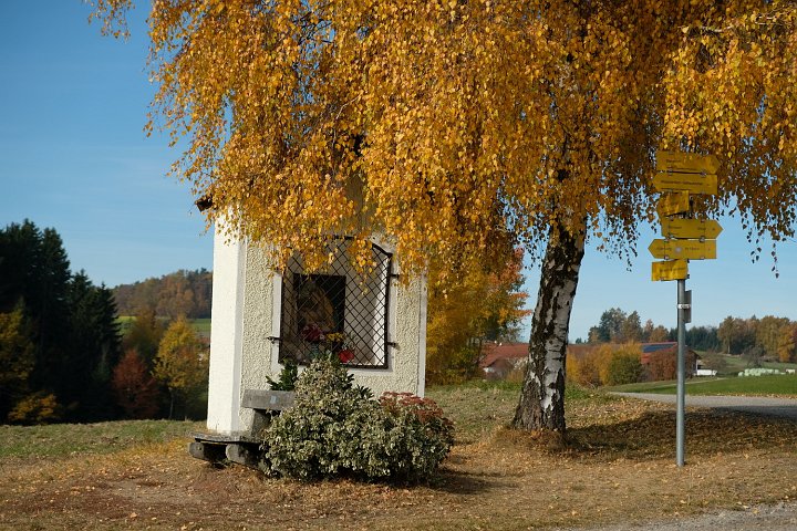 20211031_121041_Landschaft_Wege.jpg