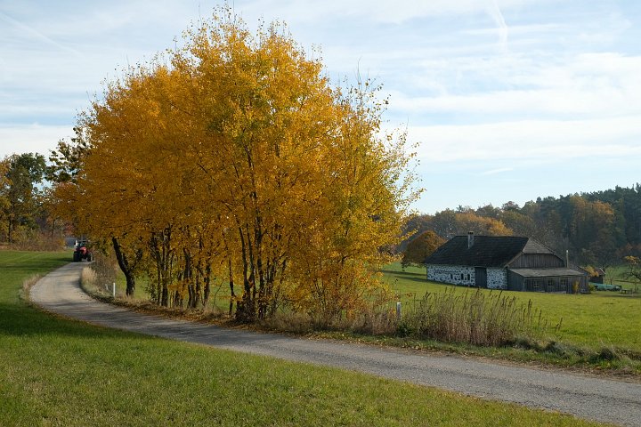 20211031_121503_Landschaft_Wege.jpg