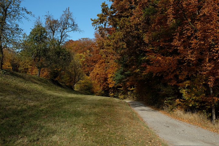 20211031_122228_Landschaft_Wege.JPG