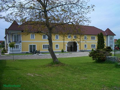 24 Engerwitzdorf