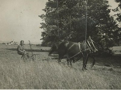 Stoettner Niederwinkl