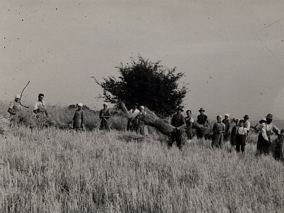 04 Dreschen in Kulm um 1933