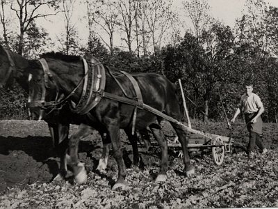 06 Huemer in Breitenfelden um 1940