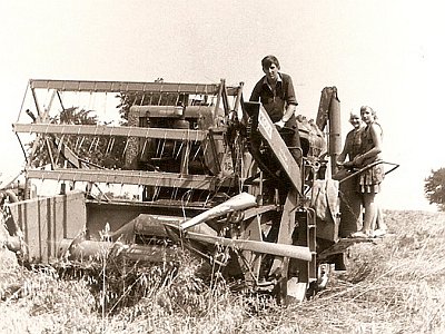 1970 Fotos bei der Ernte 03