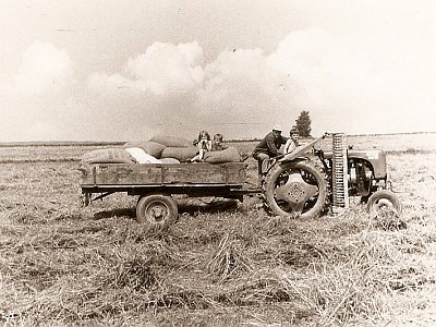 1970 Fotos bei der Ernte 07